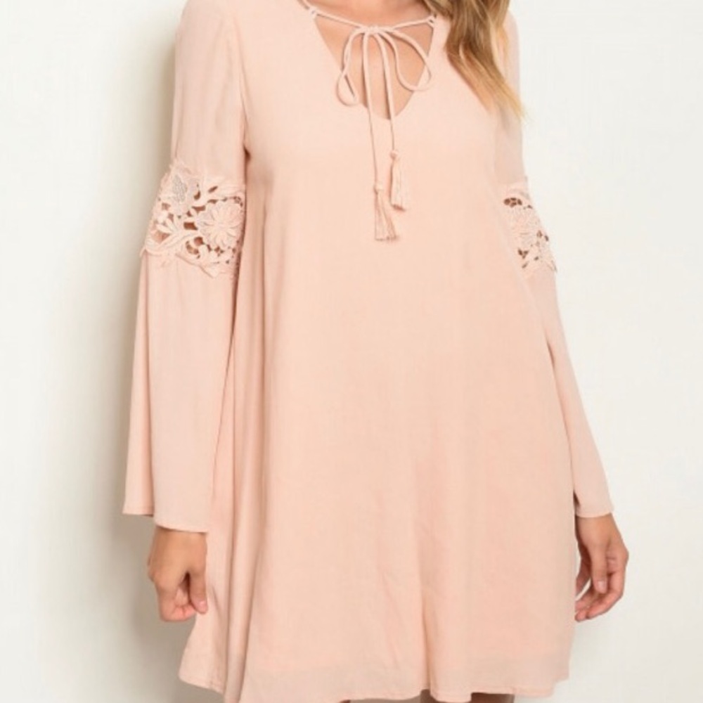 Amelia Blush Babydoll Dress